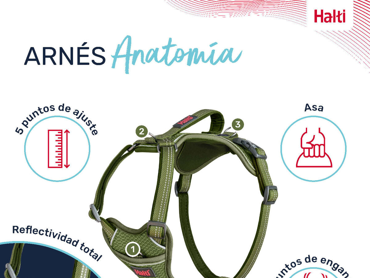 V6H7857B2365399992C80CF794C8F46C585R5328520P2