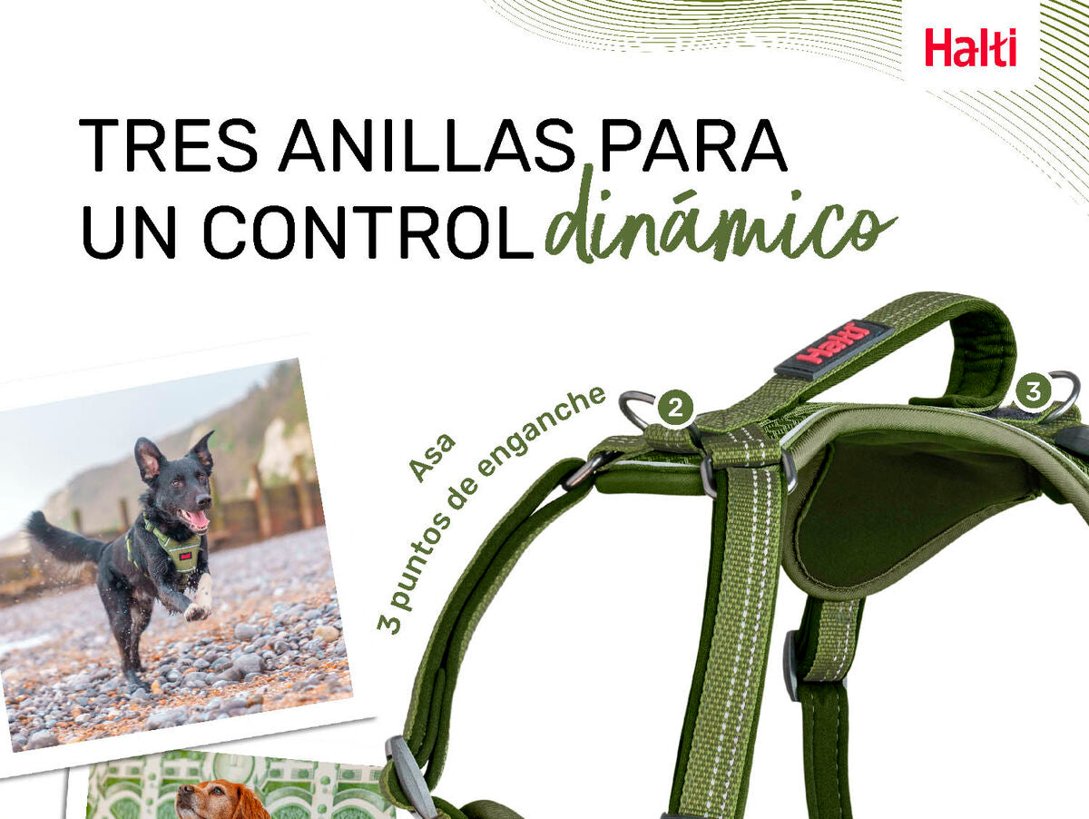 V6HFE0049BB6C6FEA1E2001B757840B7628R5328542P3