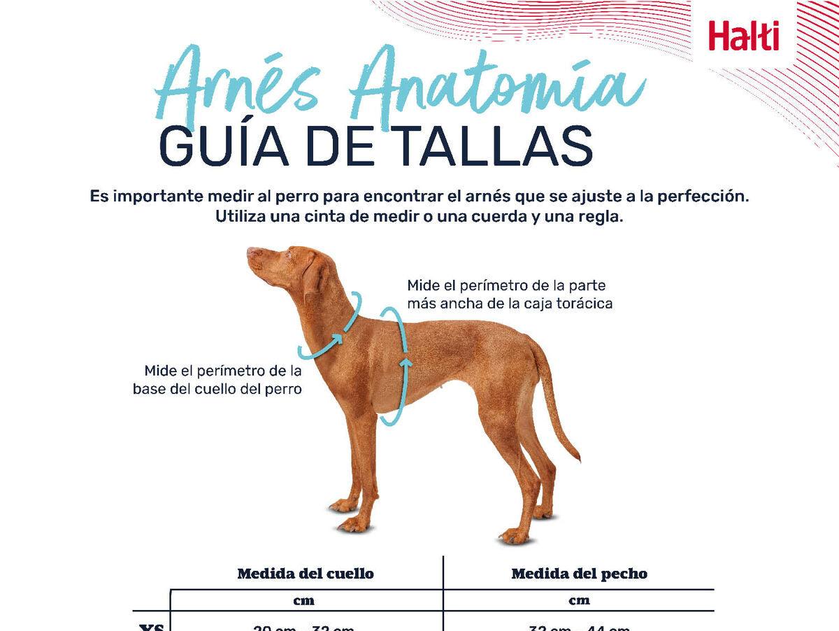 V6HC8C51D105C0C771BEF6C6CBC5E0D41BAR5328515P6