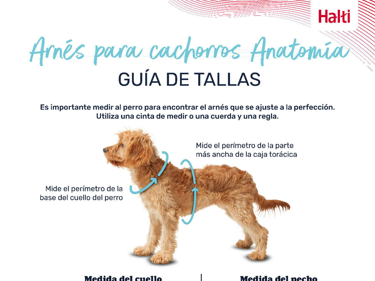 V6H74274D3540B8E34218A2BA92233AC3CDR5328610P4