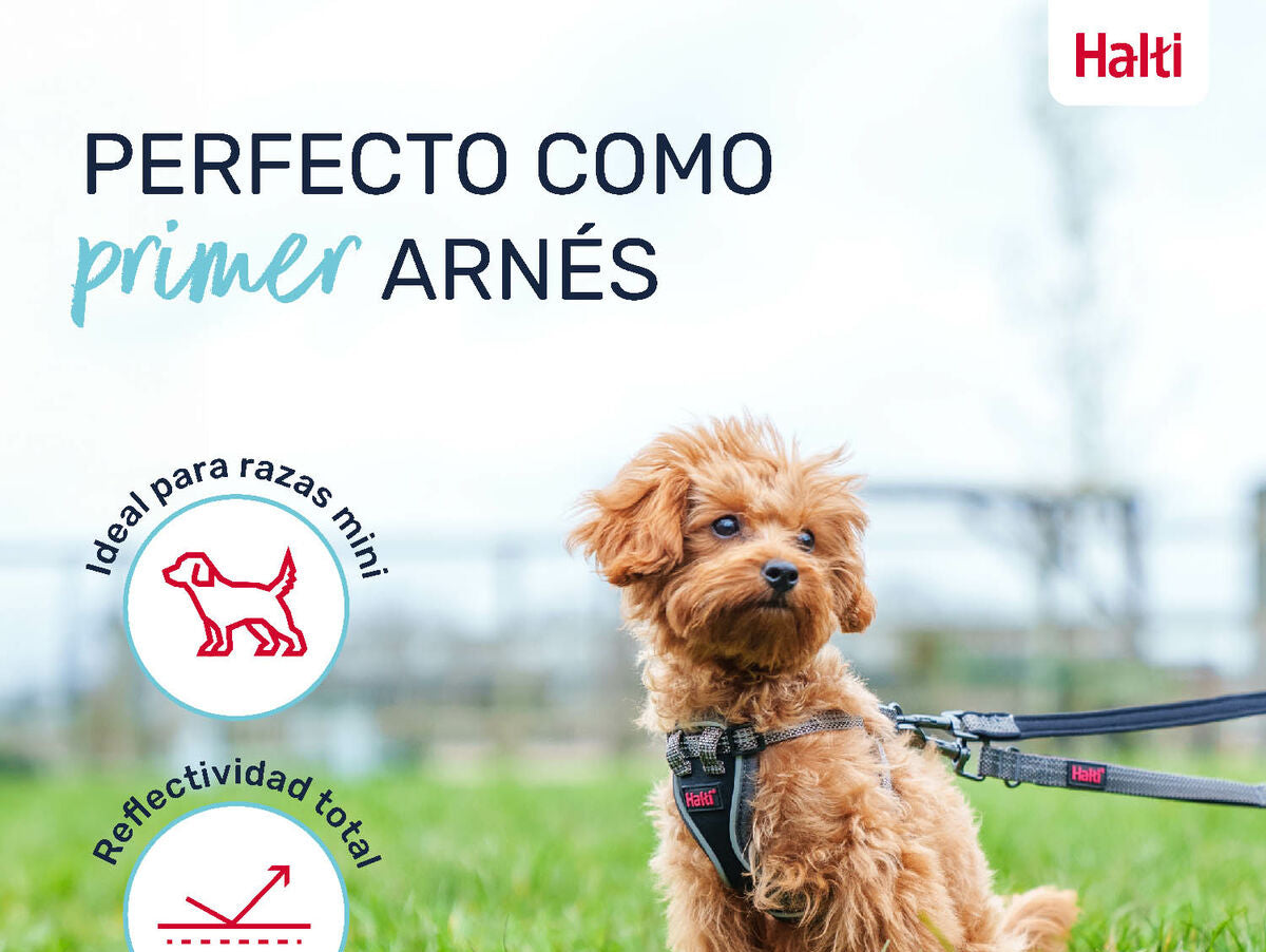 V6HAEAC1DED9B59F6C6B4DB9D6FAFABD4E6R5328612P5