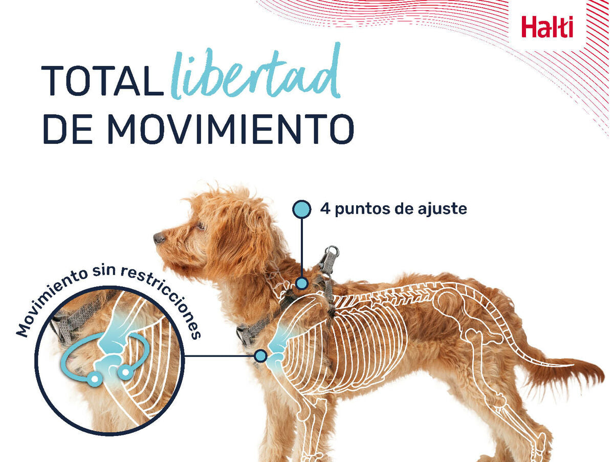 V6H92703D273EDFF2C476FB1B6C4B8CDA8DR5328615P6