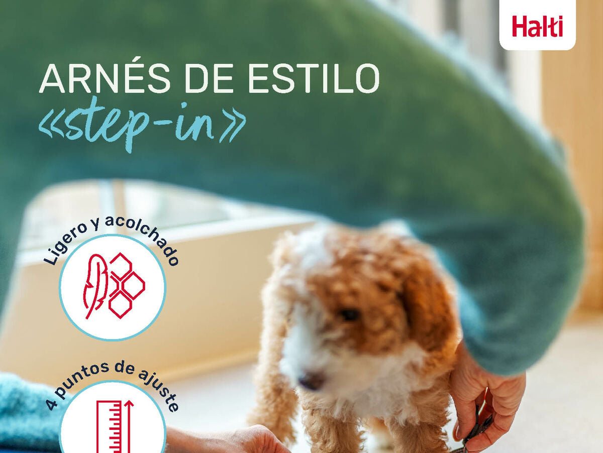 V6H4CA319A745E032F274A37BAFDF783C93R5328462P2