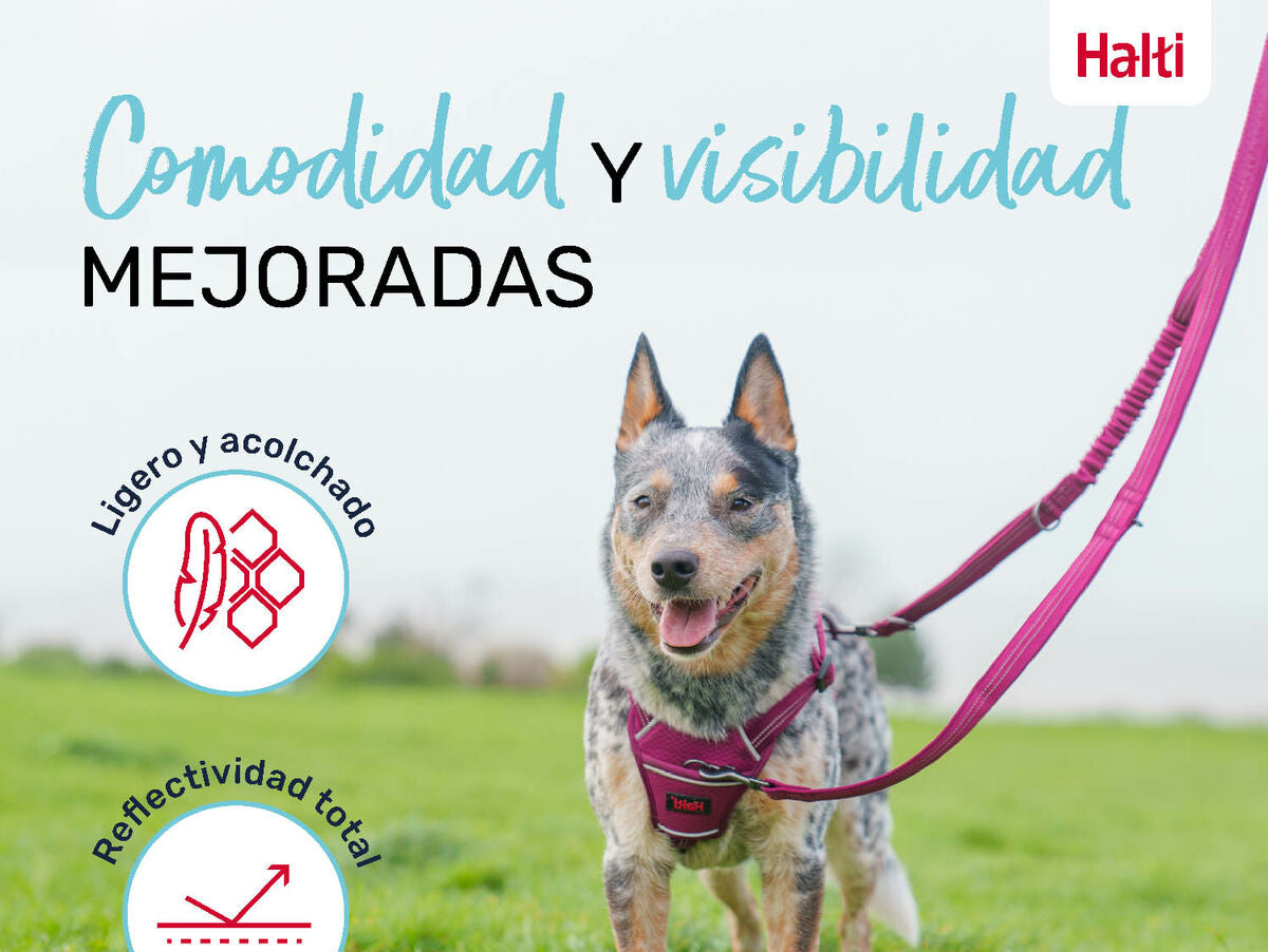 V6HE2BA420E4D3D592CDD07EAECD9599D62R5328605P5