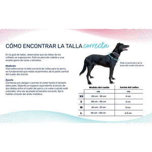 V2H908EAEDCA260E2B1DDB15B8348807B1ER7722811P4
