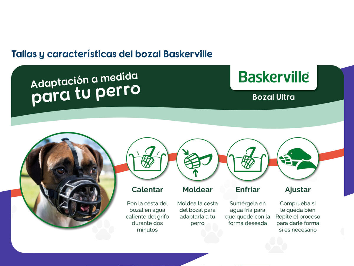 V6HAD295031A1120BBD4100ECDA188AC8D9R5327517P4