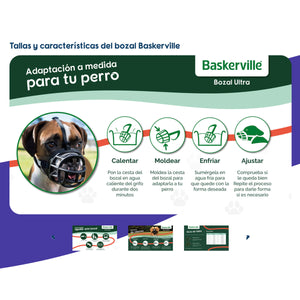 V6HAD295031A1120BBD4100ECDA188AC8D9R5327517P4