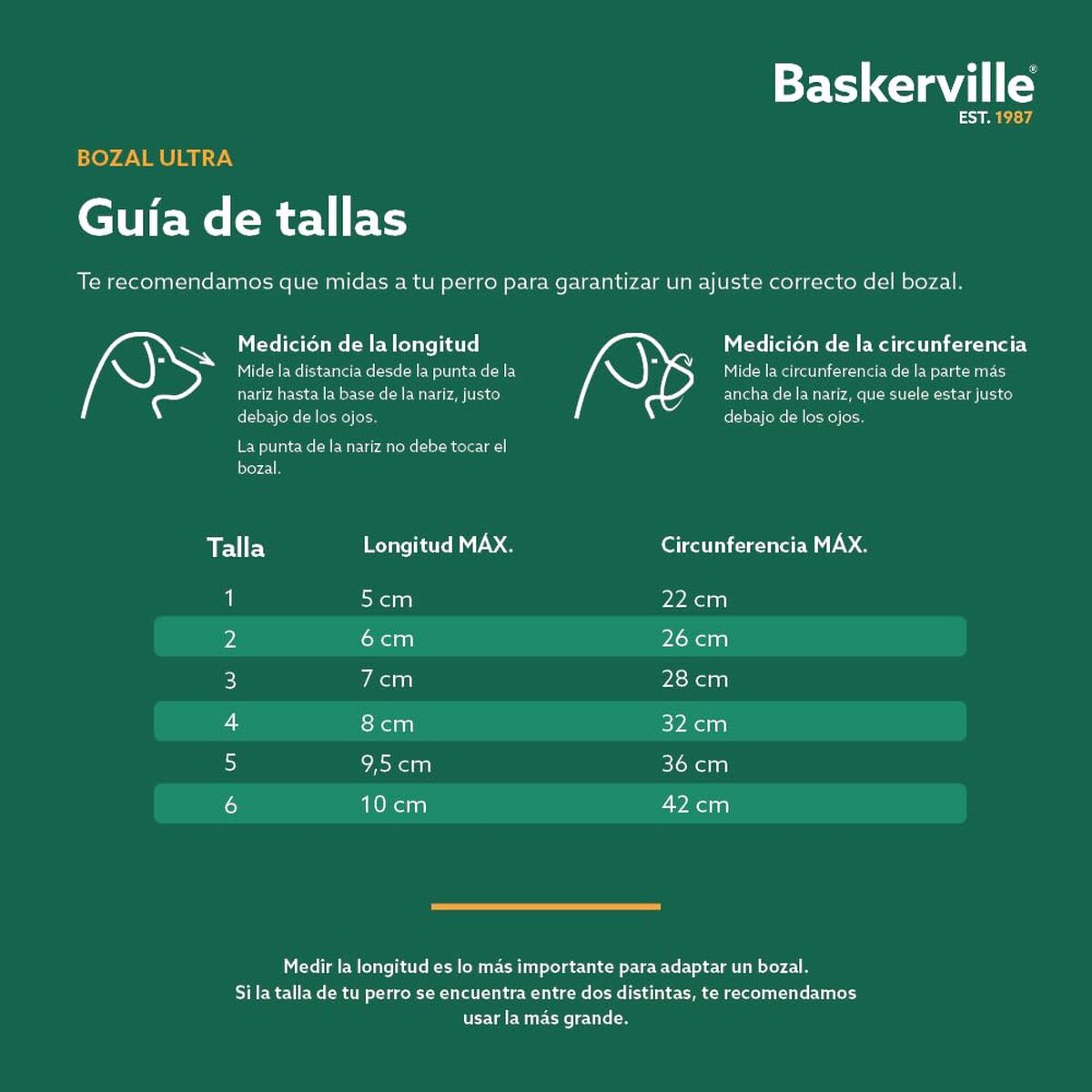 V6H1FC23208BB6219284408247D656B5D44R5327519P5