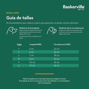 V6H1FC23208BB6219284408247D656B5D44R5327519P5