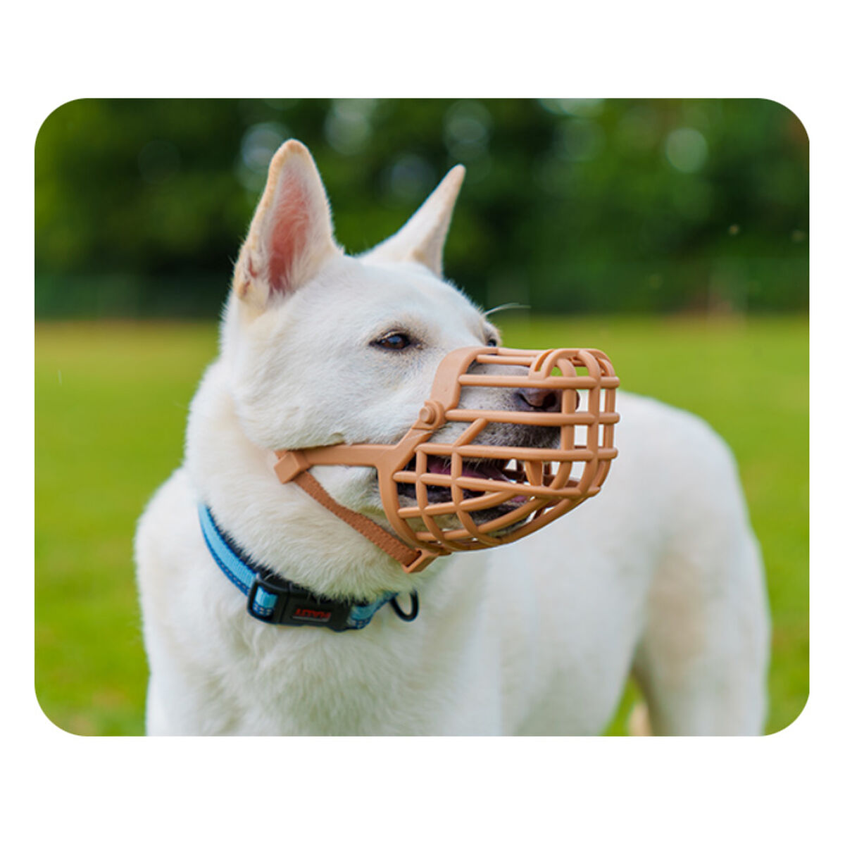 V6H8DE94E6B721D857E976659CEC79A1996R5327605P3