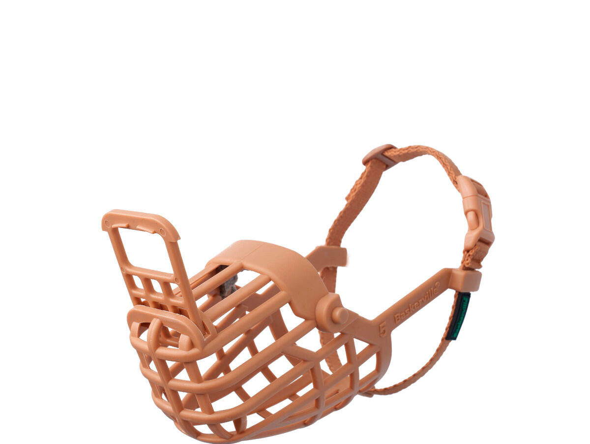 V6H210483D4E3BE0BFB1B6E9305FBA78EF2R5327563P1