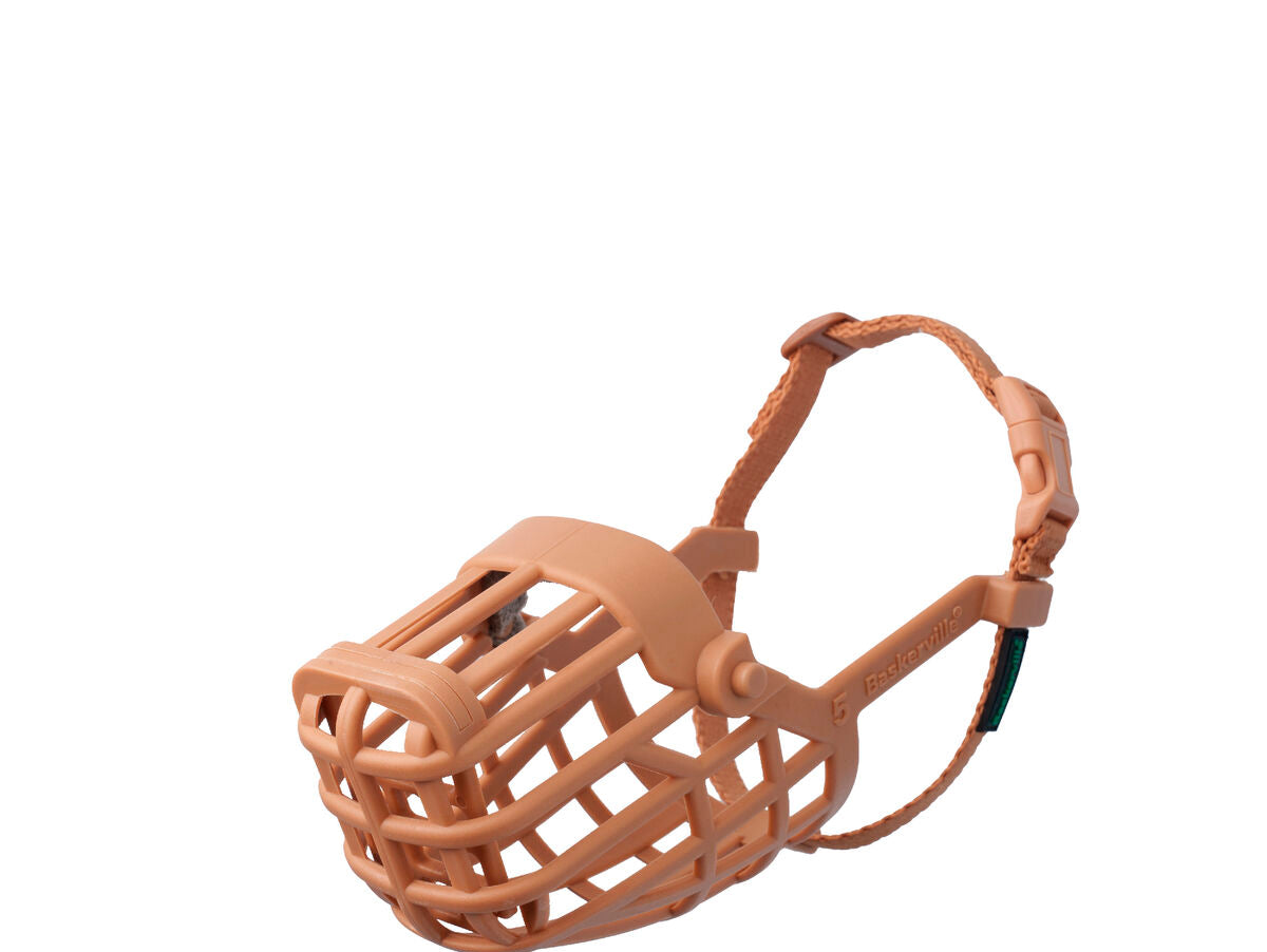 V6H5FCB4BDEE3E119A6FED131BF98907605R5327565P2