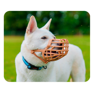 V6H6CF09E253F3A5569A70DFFA7B2702709R5327567P3