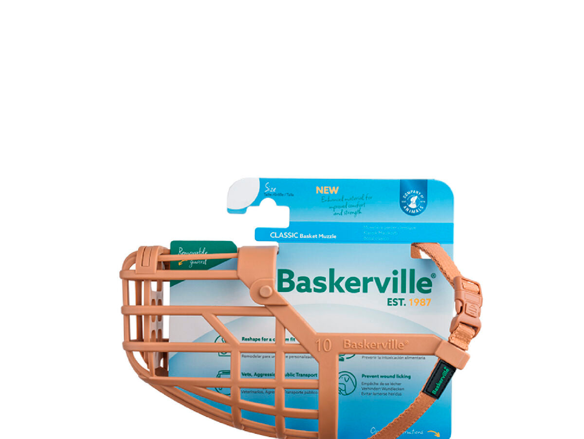 V6HE020BD11967E26979DB8DB8D2E04A582R5327570P4