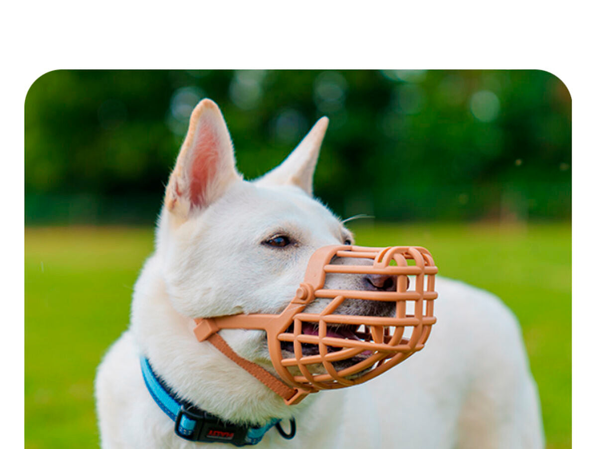 V6HA56A2F7B1477BE57DDF638EA102935ACR5327566P3