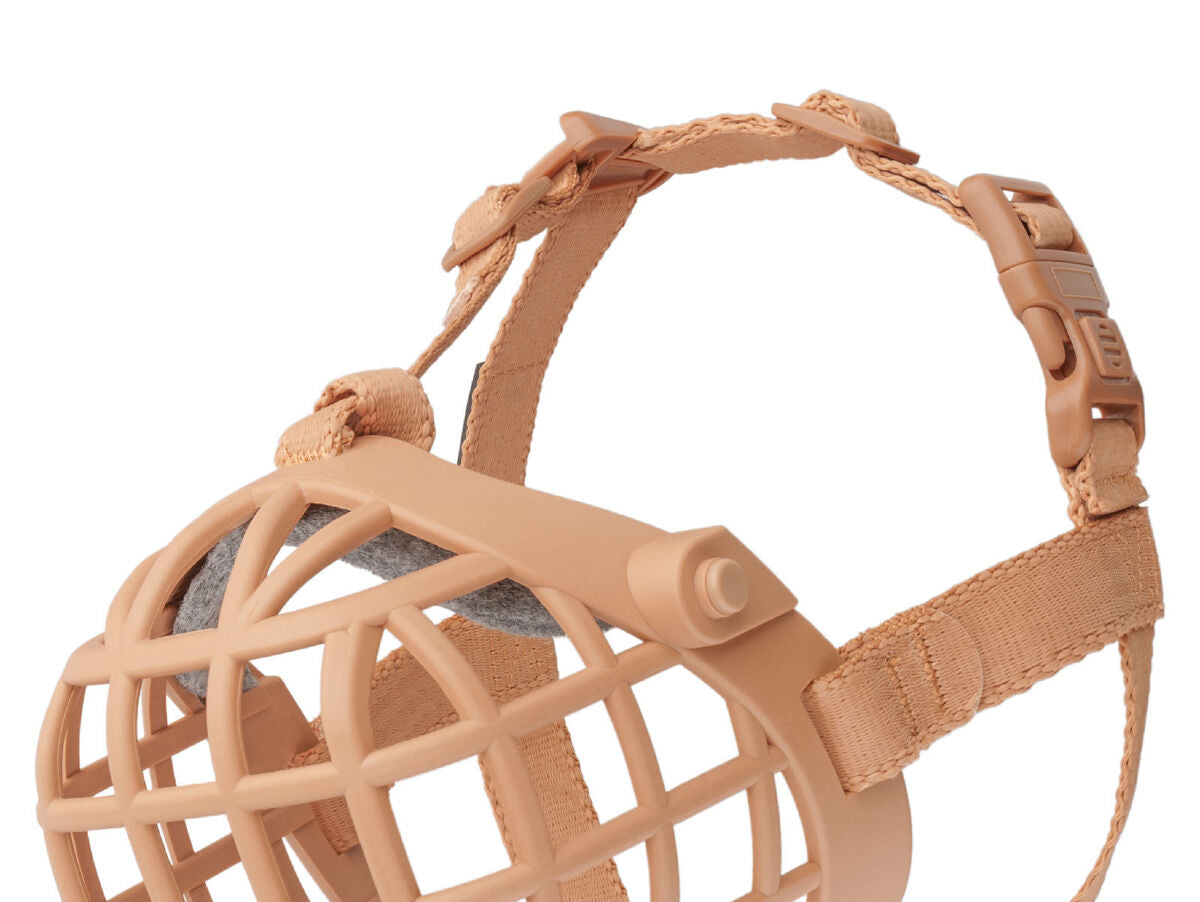 V5HFF363D82124E9F7F2DD7938A039D0574R5554137P1