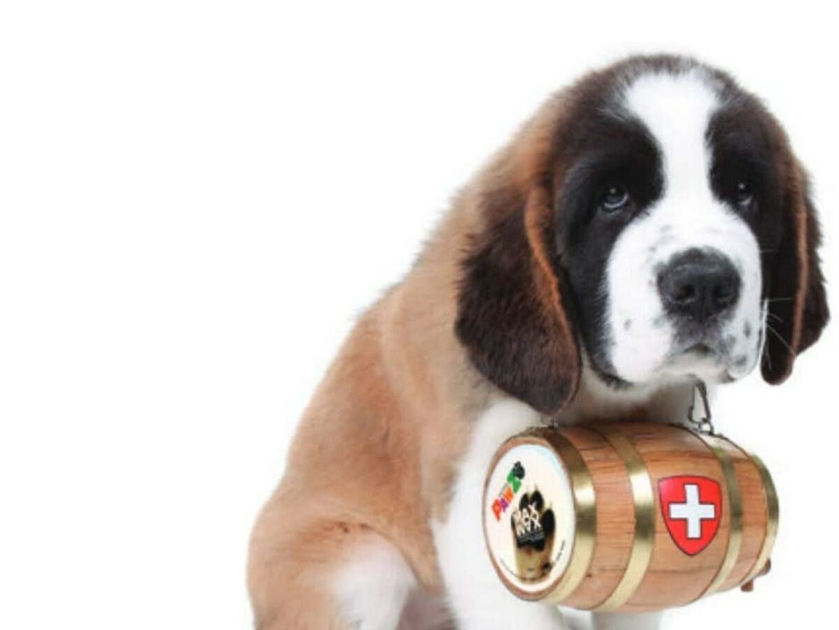 V5HBC1FDDB34CD1E94C5ED1F6384DA6DD89R5595053P7