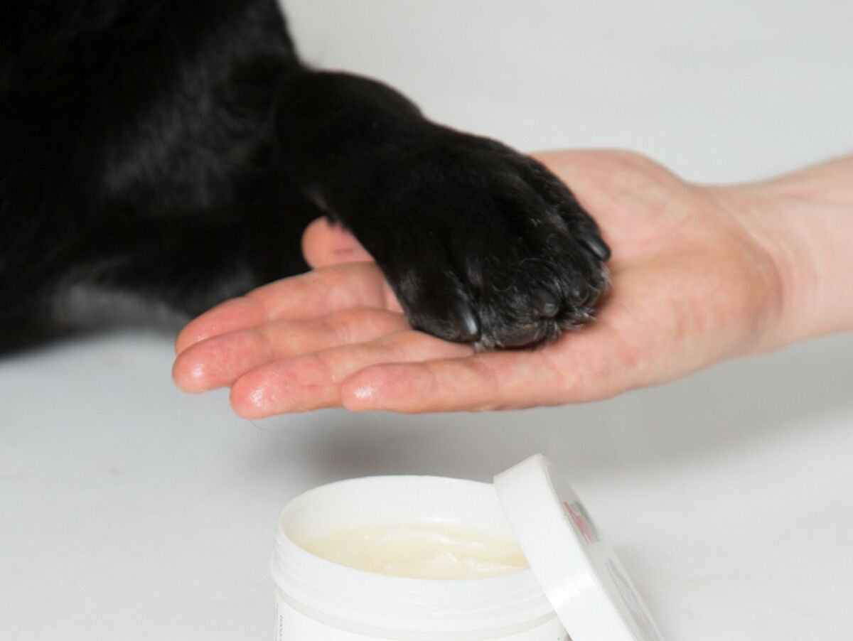 V5H0BC08A5C7F74C5C94C291D6AEF1F52E6R5595057P3