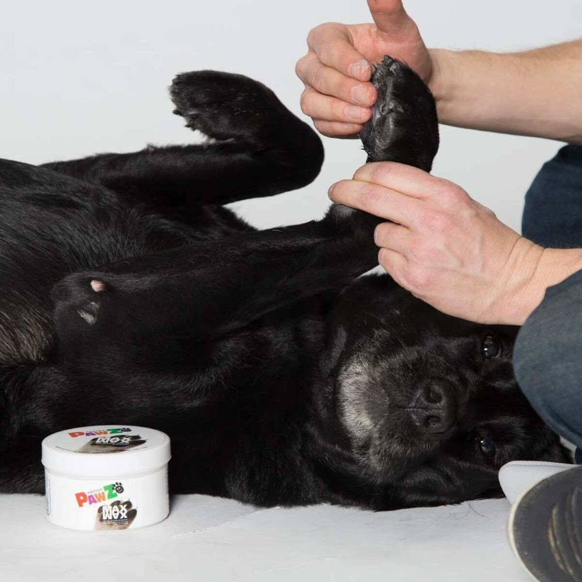 V5H420793D80DDEB706C5756DAD9A7D569CR5595059P5