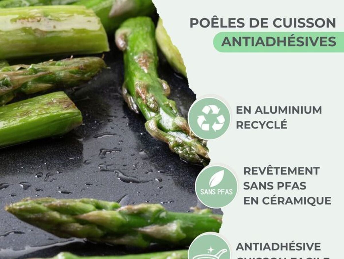 V2H95B8C355A88AD660C9A240638E9E0048R7439033P4