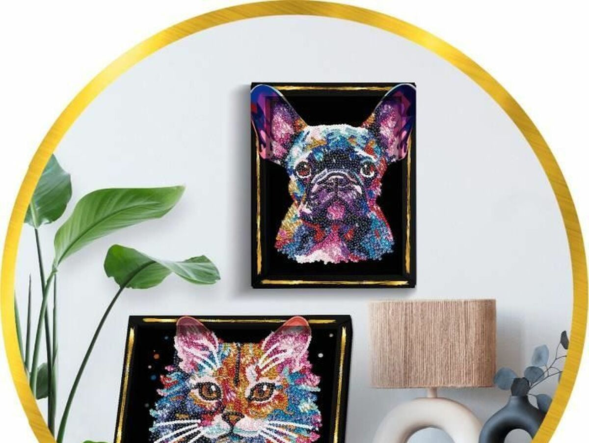 V6HBE0F01229B6014CCFDDE449114D2E07FR6635684P2