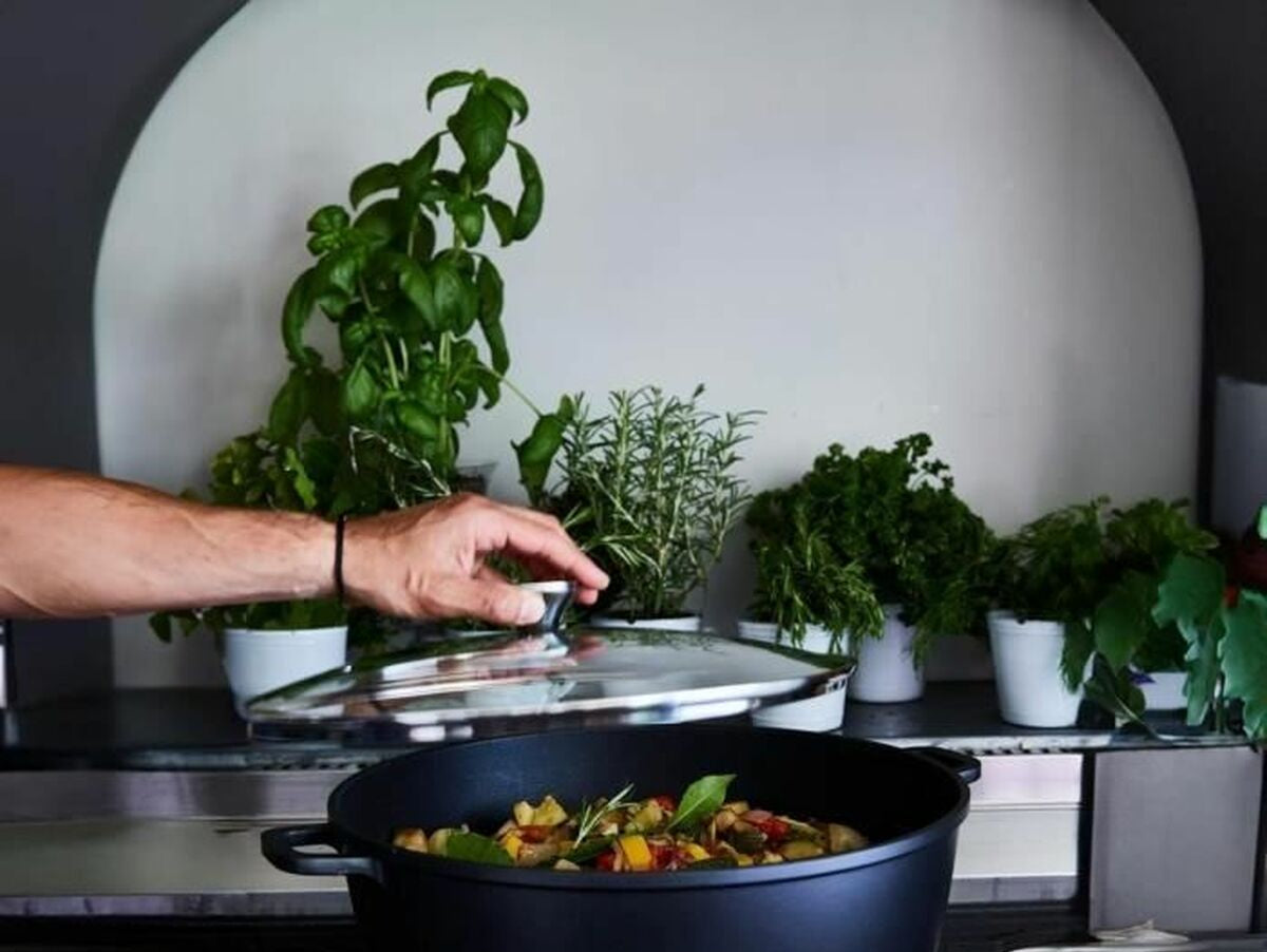 V5HE955031968258F304B6BDF84B80DC736R6658566P3