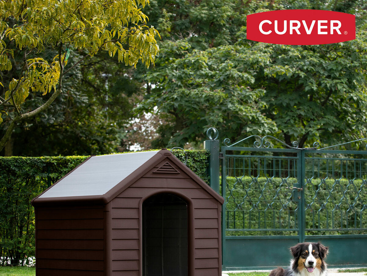 V5H87A16427309D581AA173244983D3BAE9R5673236P2