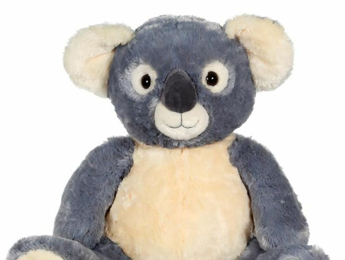 V5H6C63C13B1173D5024CC1BE7E24660578R5838764P2