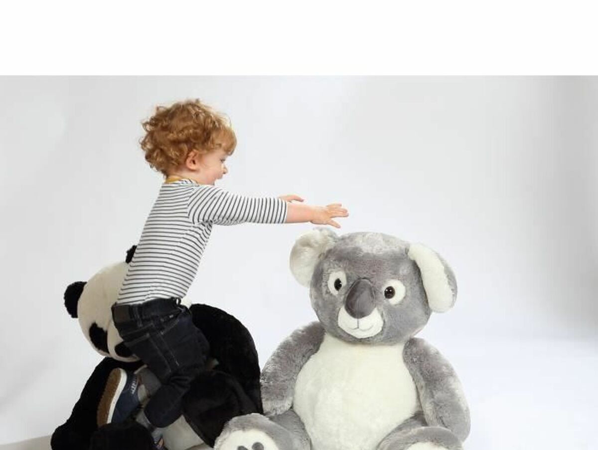 V5HAB7CA7D3445A8DFB582A2320AF50F938R5838768P4