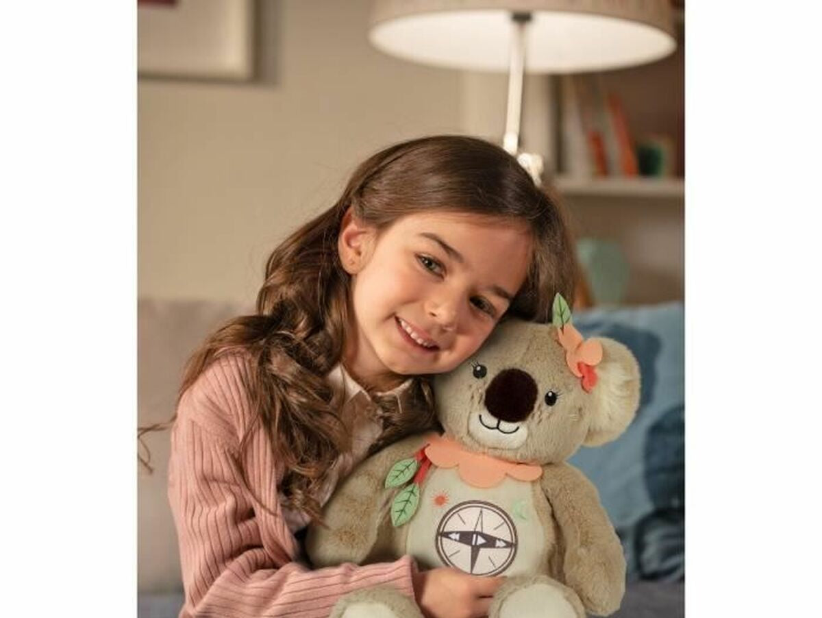 V8H8E172ADE026236744BB00A1D364B61E9R3216778P6