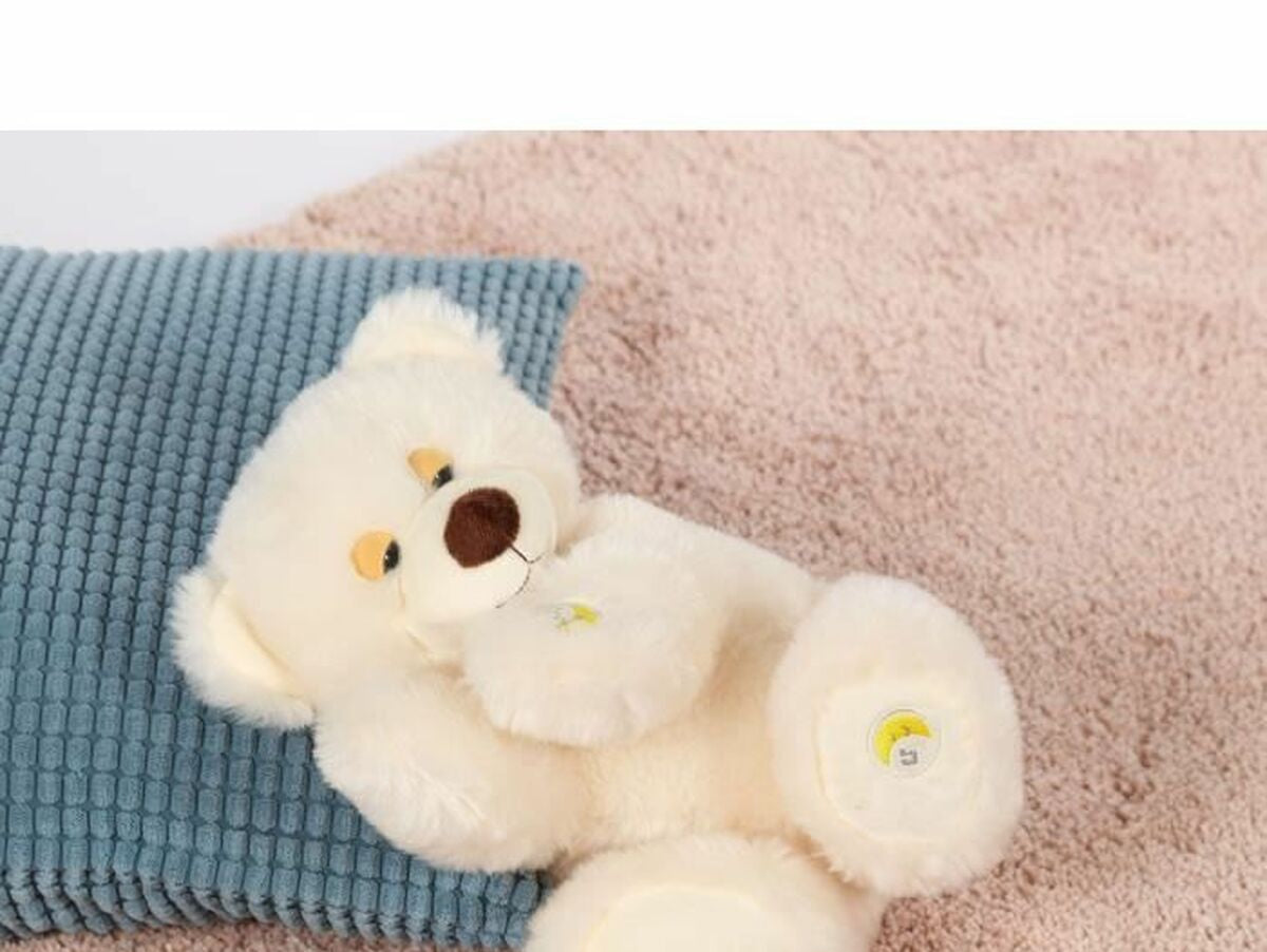 V9HA6EBAA542026FF169D2C523C224CA375R6823313P4