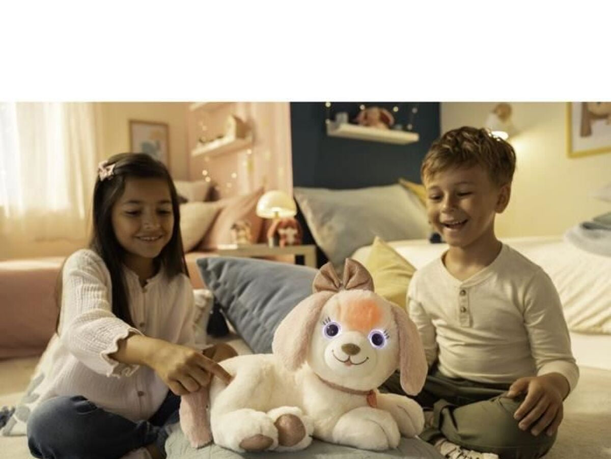 V4HAF40516803E70E7C58C73ECAA554BF02R7417781P3