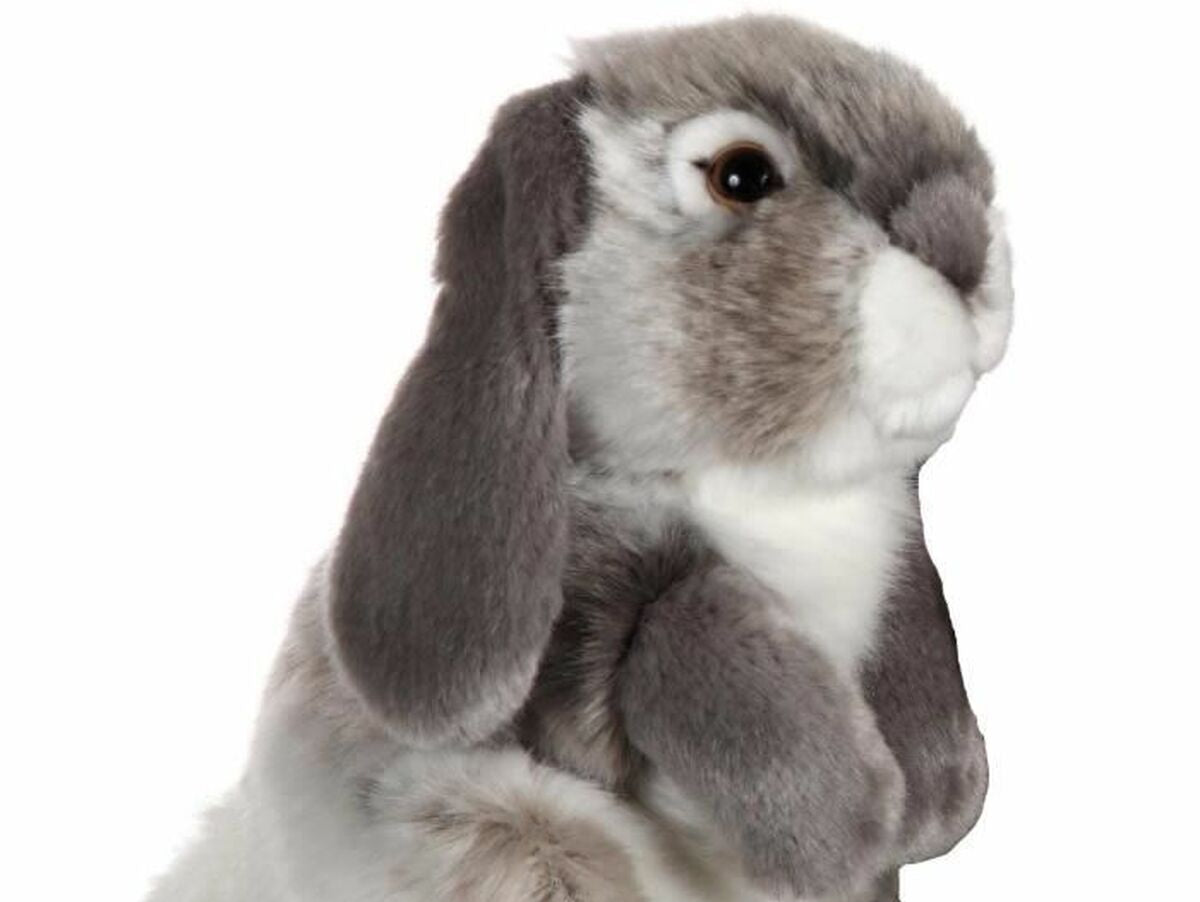 V8H85CAADB425356F689A2A3EDFE1F35127R3217007P1