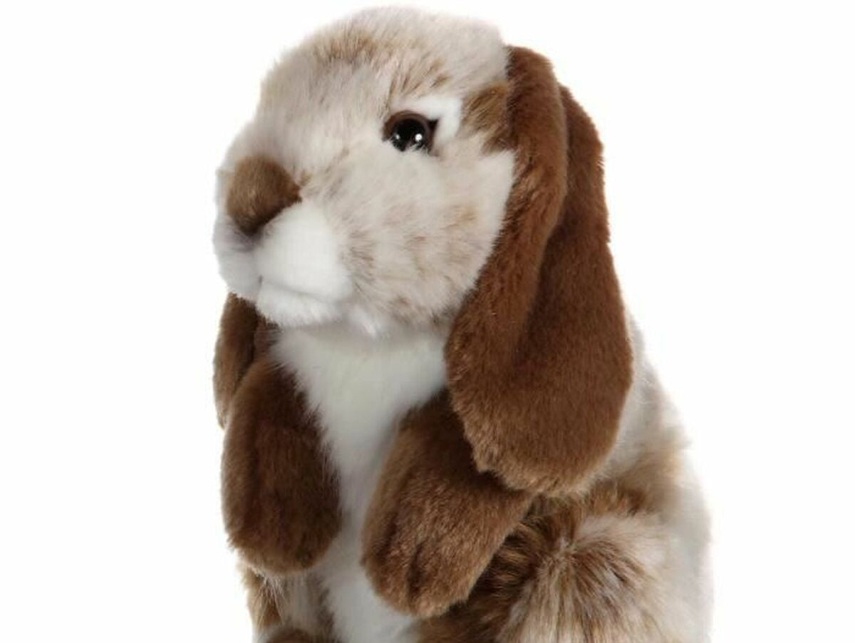 V8HEB42CE4A47C3782D37ACC2652CBAF816R3218797P1