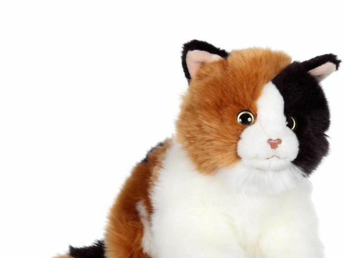 V8H456D8FC6BAC12640E084D28ACD6DA288R3216623P1