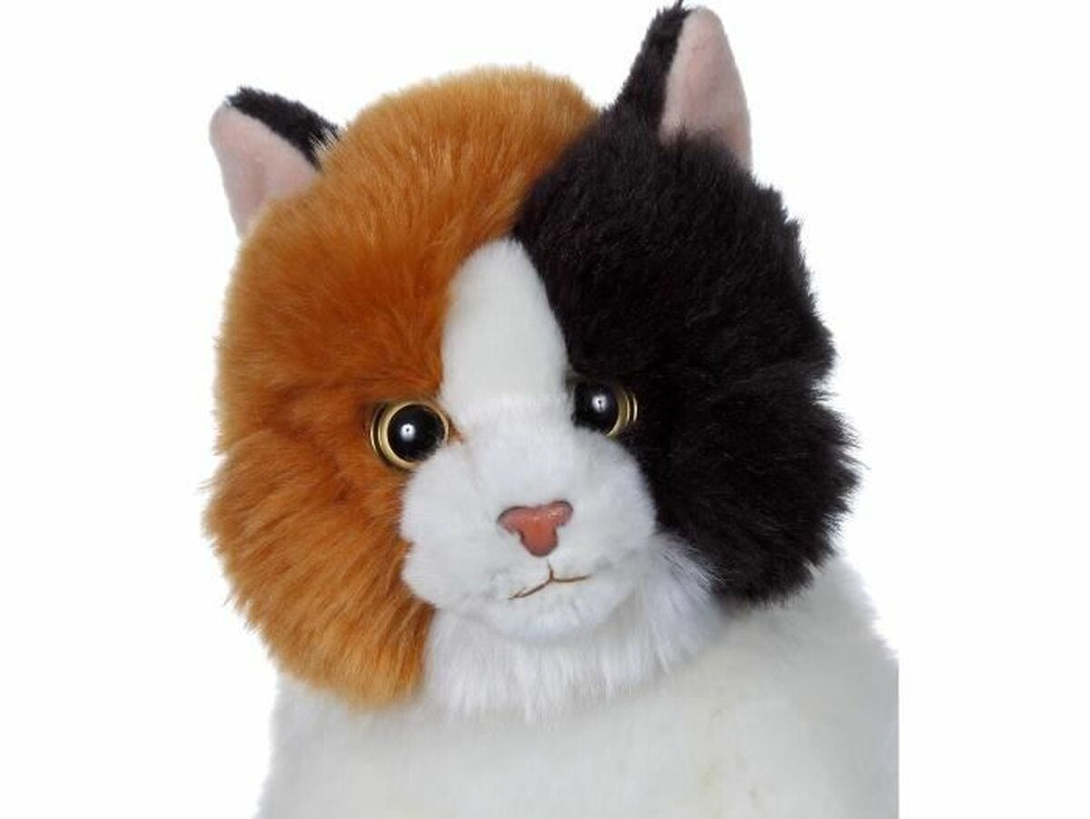 V8H66EFD20769ED69EF22874952B5784936R3216625P2