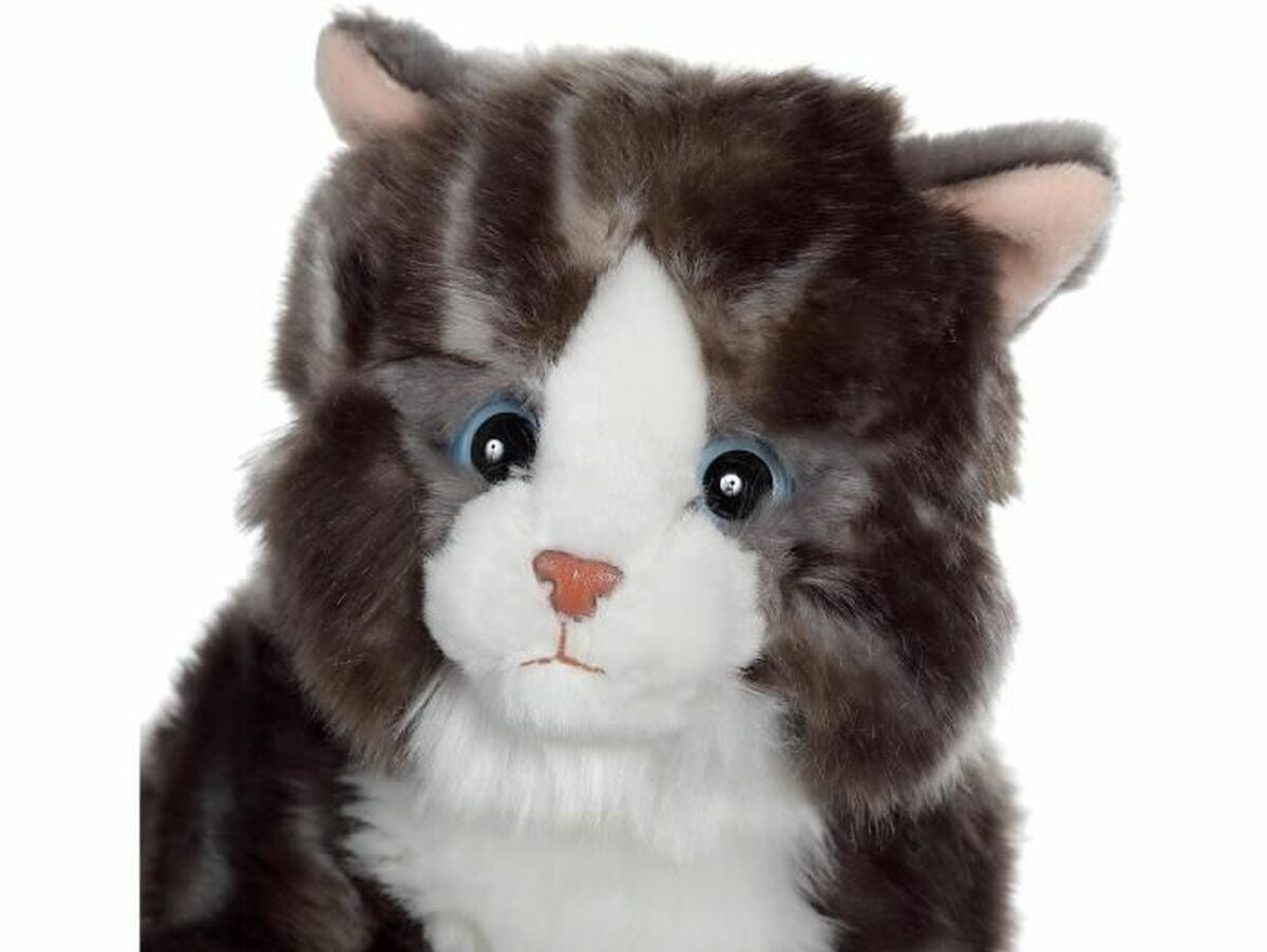 V8H2EE114DDF8980986A468C7C0958299B1R6823294P2