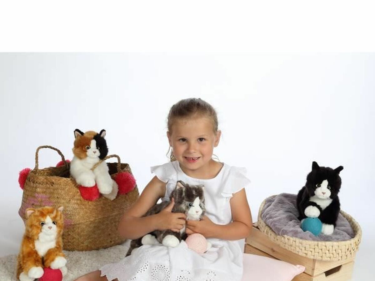 V8HCD26B2EAF24FD0045D841863DB62317FR6823300P4