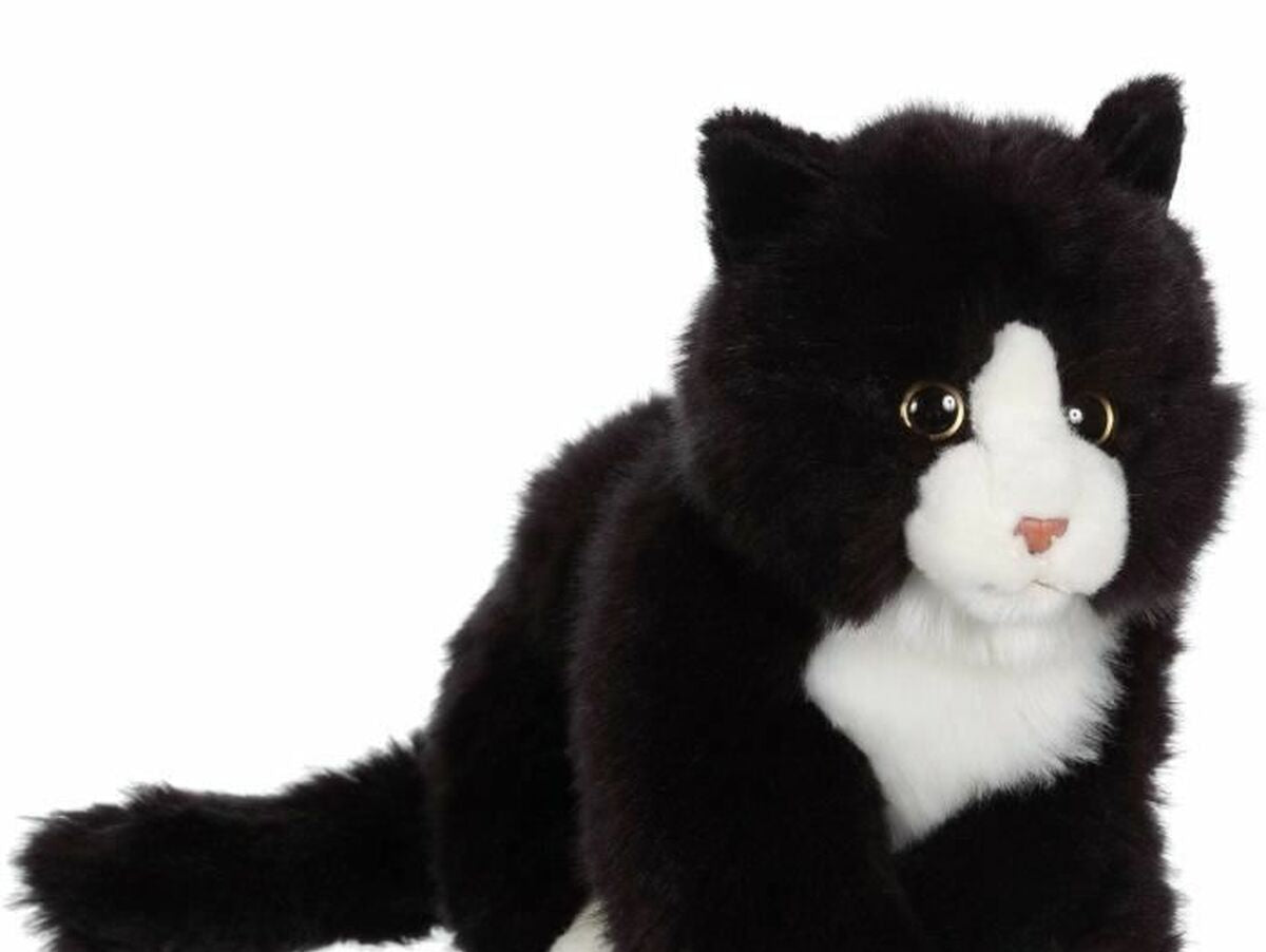 V9H2EC5050A05CB7BCA3BCB1803B1DF4A78R6663361P1