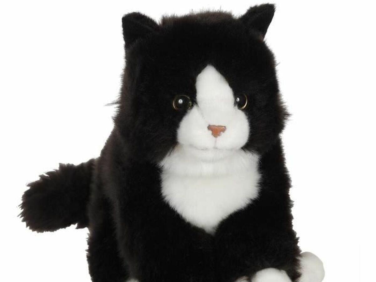 V9H031FF9A2B7EB0AA5DE73DE1FBDF4D755R6663363P2