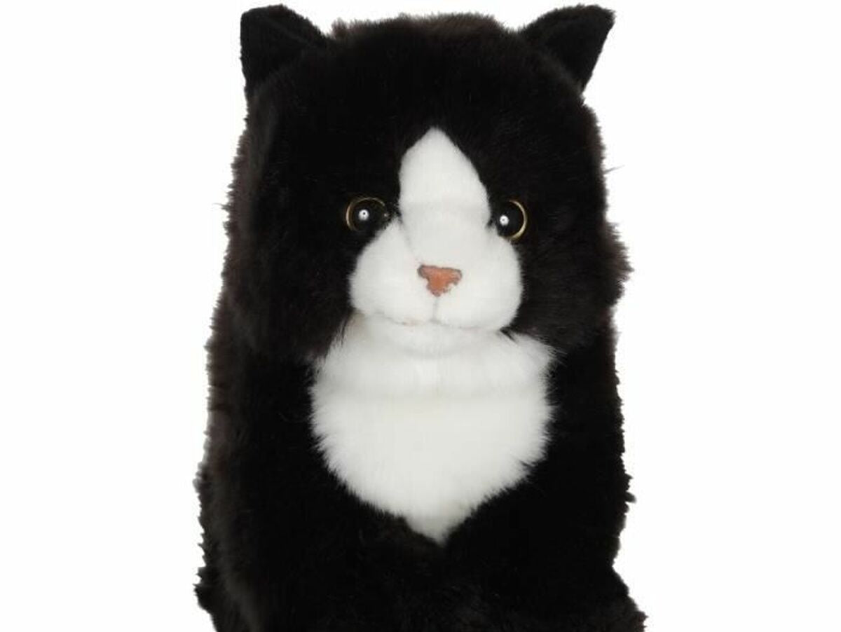 V9HA43CA83824E3E5381481F0070A277727R6663365P3