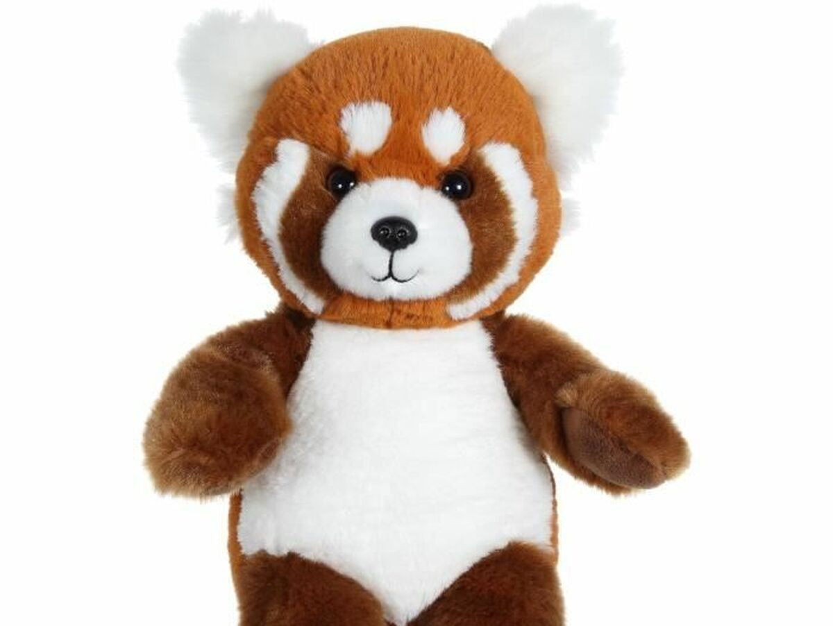 V6H439EB6FC55E98EB04C8C4A2D23F94D5AR4589394P1