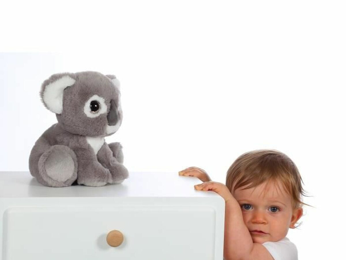 V8H640E1027C2A0B20E89B0DAF45044A33DR3219783P2