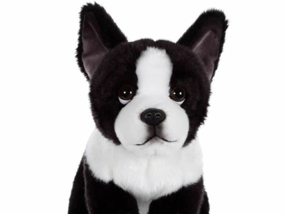 V6H2812D51606273FFFFC75FDA4B46A0EB4R4816409P1