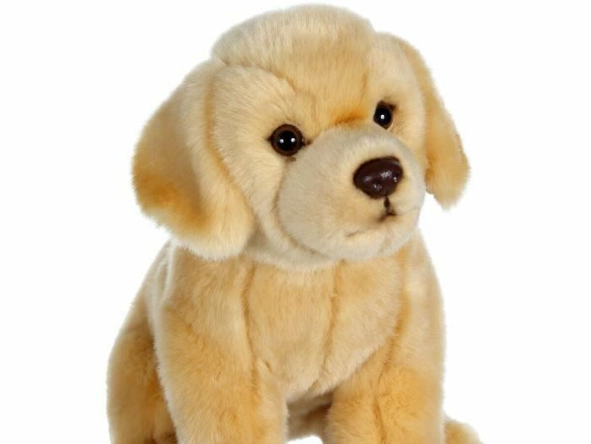 V6HB779566CB9564266173B009596414965R4816659P1