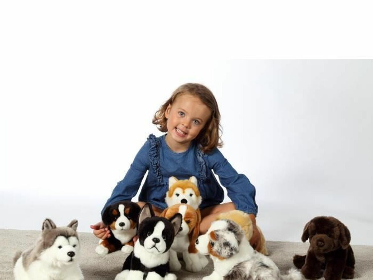 V8H2663E62341BAD9482540AFB1DEB4ADFDR3216762P2