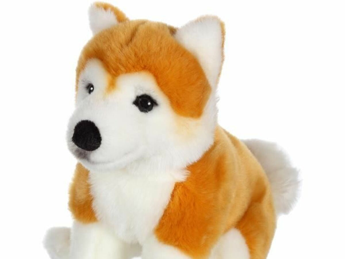 V7H976088B00BAF4276518D3A78C0D33D58R4820848P1