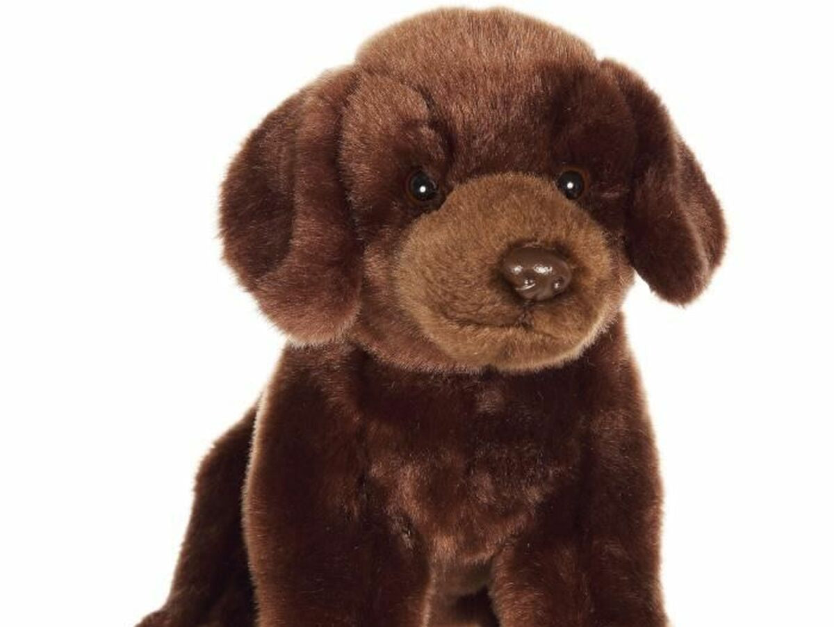 V6H0C02548CCC401C39D92A11C74016FDF0R4822287P1