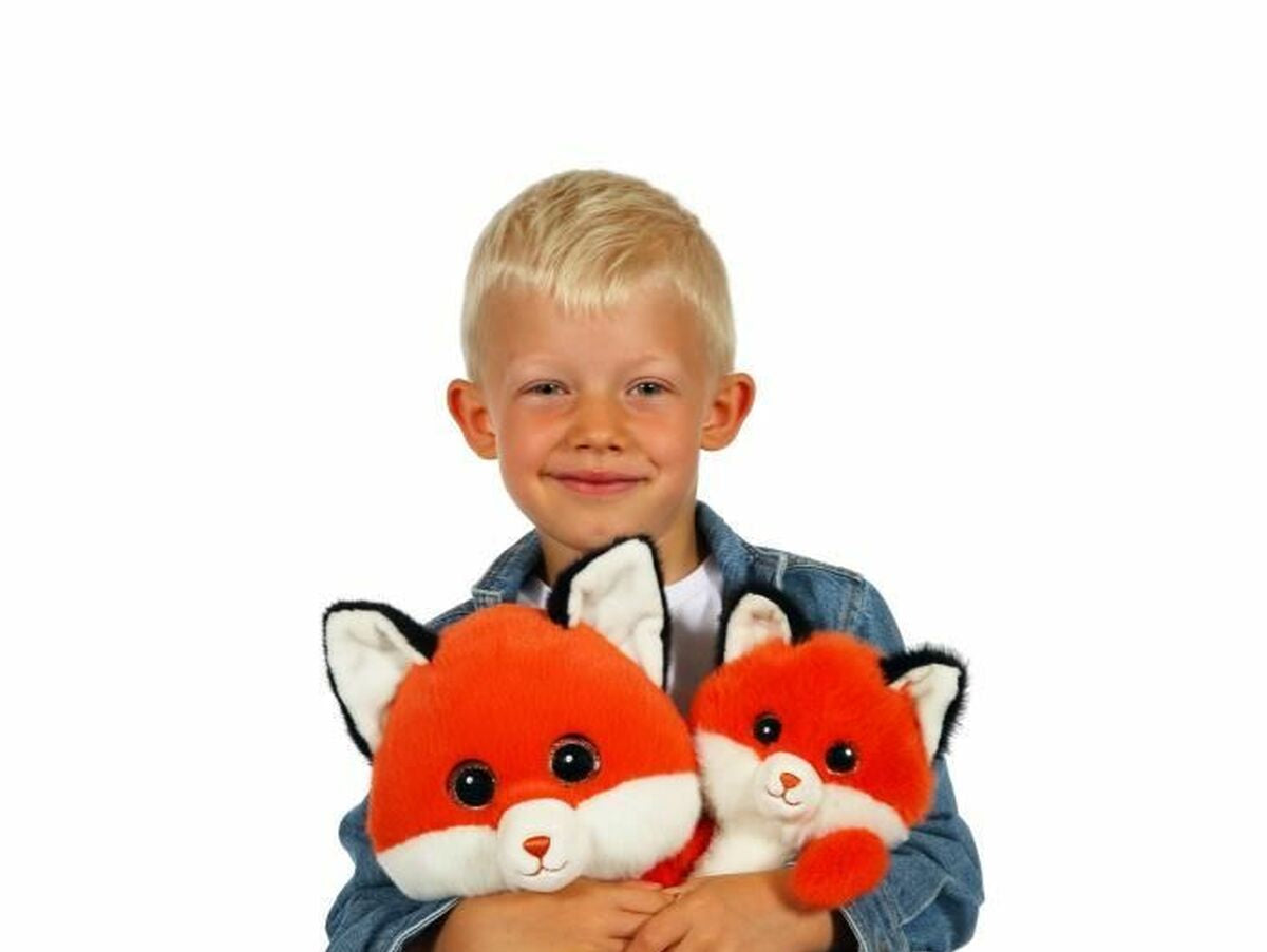 V6HB1E56A965569764F9E8237494C3136B9R5451429P3