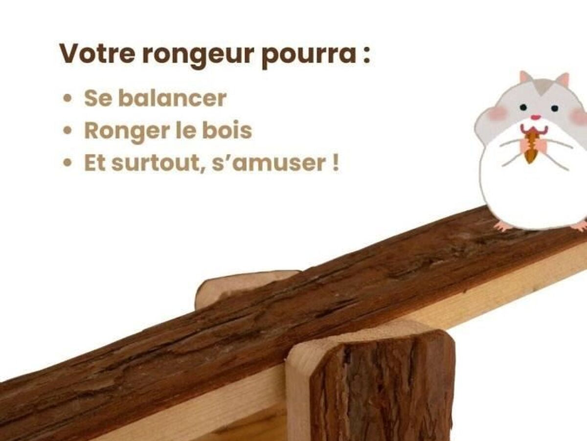 V2HB2B611868003256D0753B40573EC6368R7437132P4